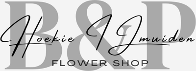 Logo Bloemen en Planten Hoekie IJmuiden B.V.